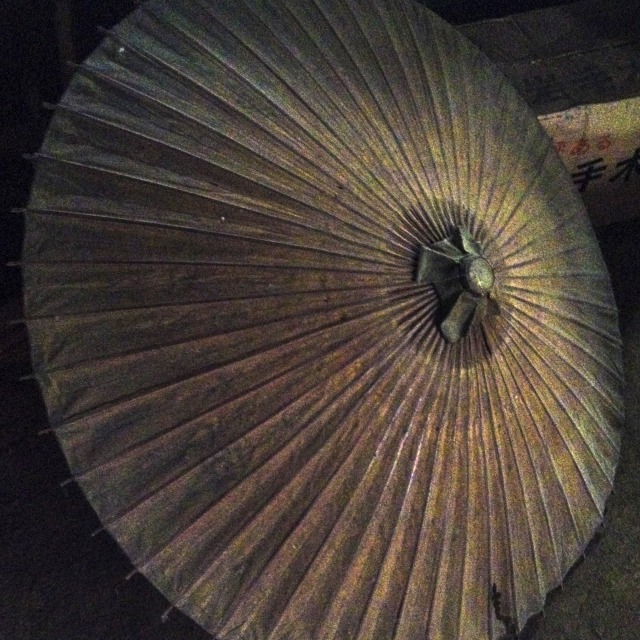 BS Asahi: Living with the Environment