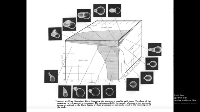 Lecture at JWU: From Form to Formation