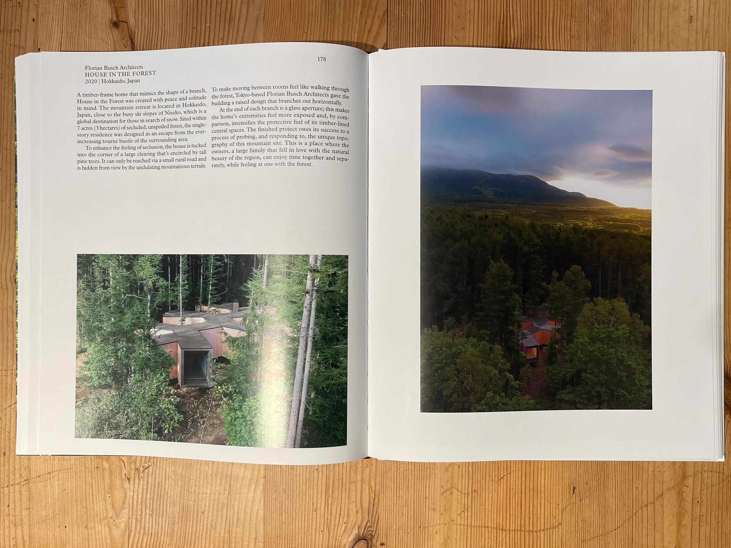 Living in the Forest | Phaidon