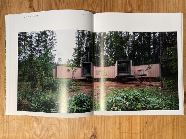 Living in the Forest | Phaidon