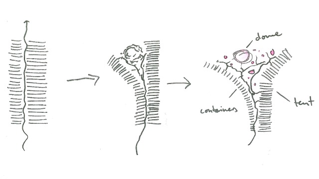 Tokyo Designers Week 2011